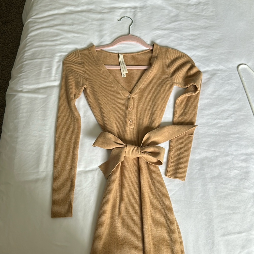 Aritzia Henley Sweater Dress